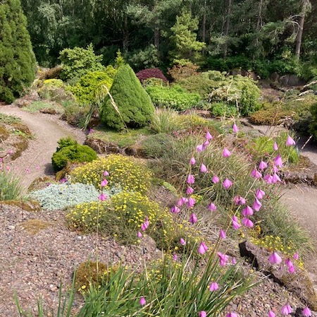 botanic garden, edinburgh